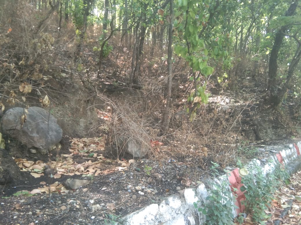 हरियाली को आग के हवाले कर रहे वन एवं भू माफिया!