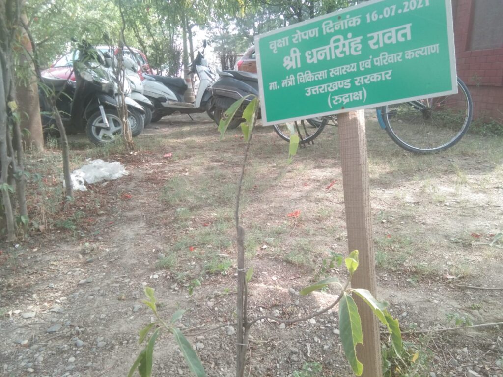 स्वास्थ्य मंत्री द्वारा लगाया गया पौधा प्यास से तोड़ रहा दम |