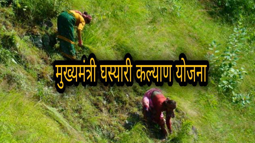 पर्वतीय जनपदों में चलेगी घसियारी योजना, जिसमे नैनीताल और देहरादून के पर्वतीय विकास खंडों को भी योजना में शामिल किया गया |