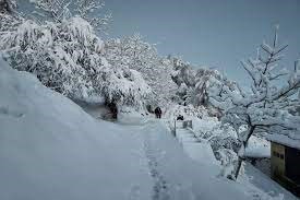 चांदी सी चमकी उत्तराखंड की पहाड़ियां, बर्फबारी देख झूमे पर्यटक, देखें तस्वीरें |