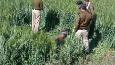 देहरादून : एयरपोर्ट के पास जंगल में युवक की लाश मिलने से मचा हड़कंप, शरीर पर मिले चोट के निशान……………..