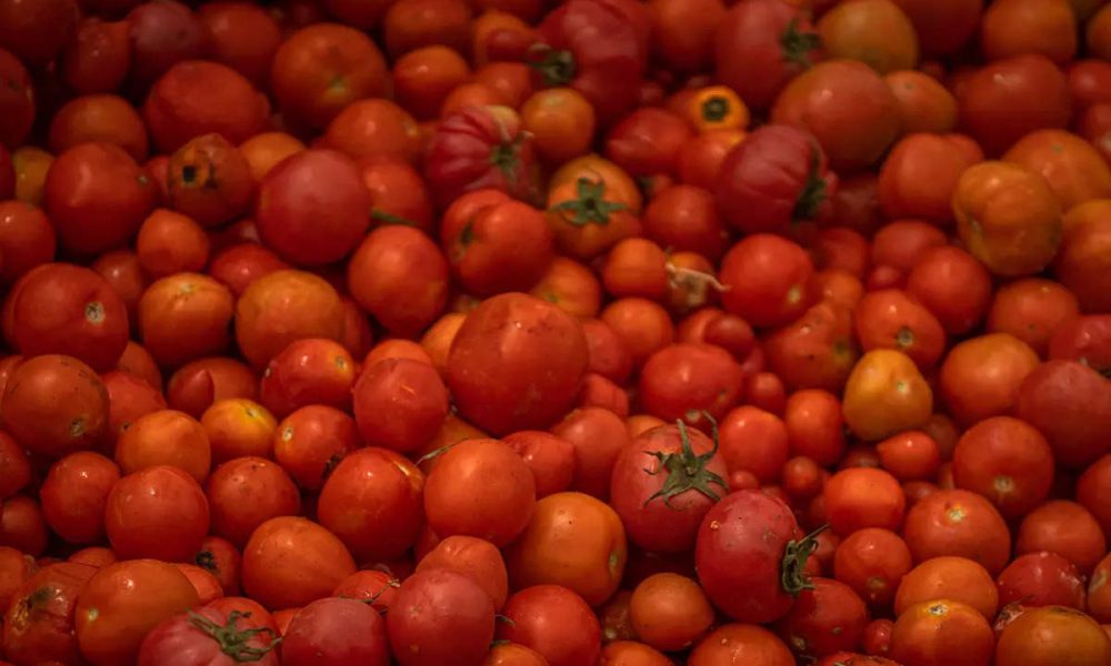 देहरादून- मंडी में इन काउंटर पर ऐसे मिलेंगे सस्ते टमाटर…