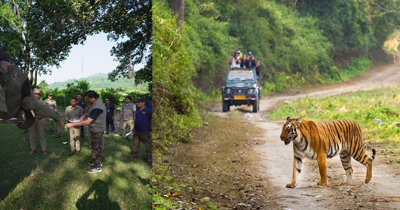 उत्तराखंड : सीएम ने दे दिया अल्टीमेटम, शिकारी हो जाएं सावधान, अब रासुका और गैंगस्टर एक्ट के तहत होगी कार्रवाई