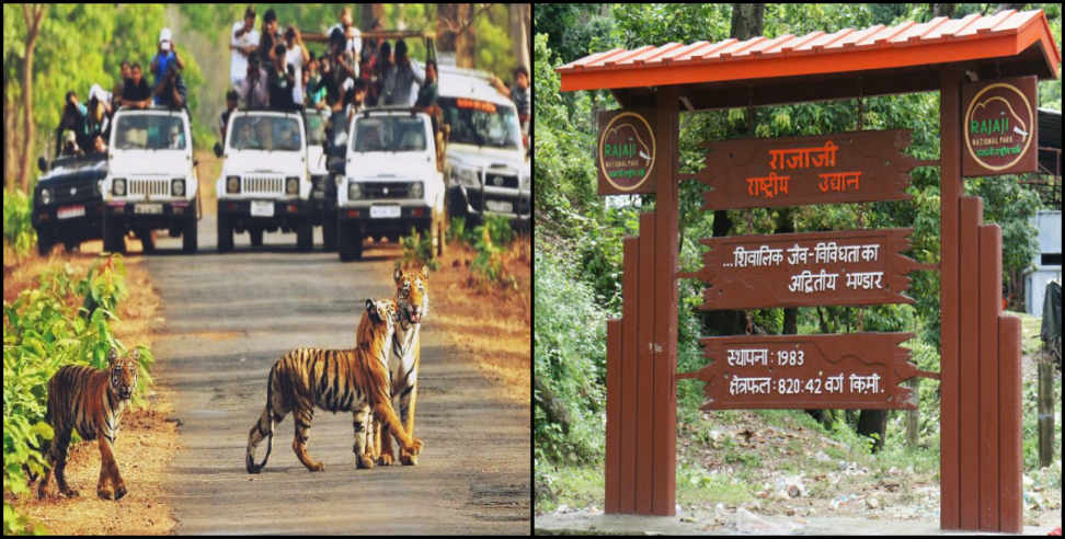 उत्तराखंड : केंद्र से मांगी गयी टाइगर रिजर्व में निर्माण शुरू करने के लिए राय, कोर्ट के आदेश के बाद से बना संशय