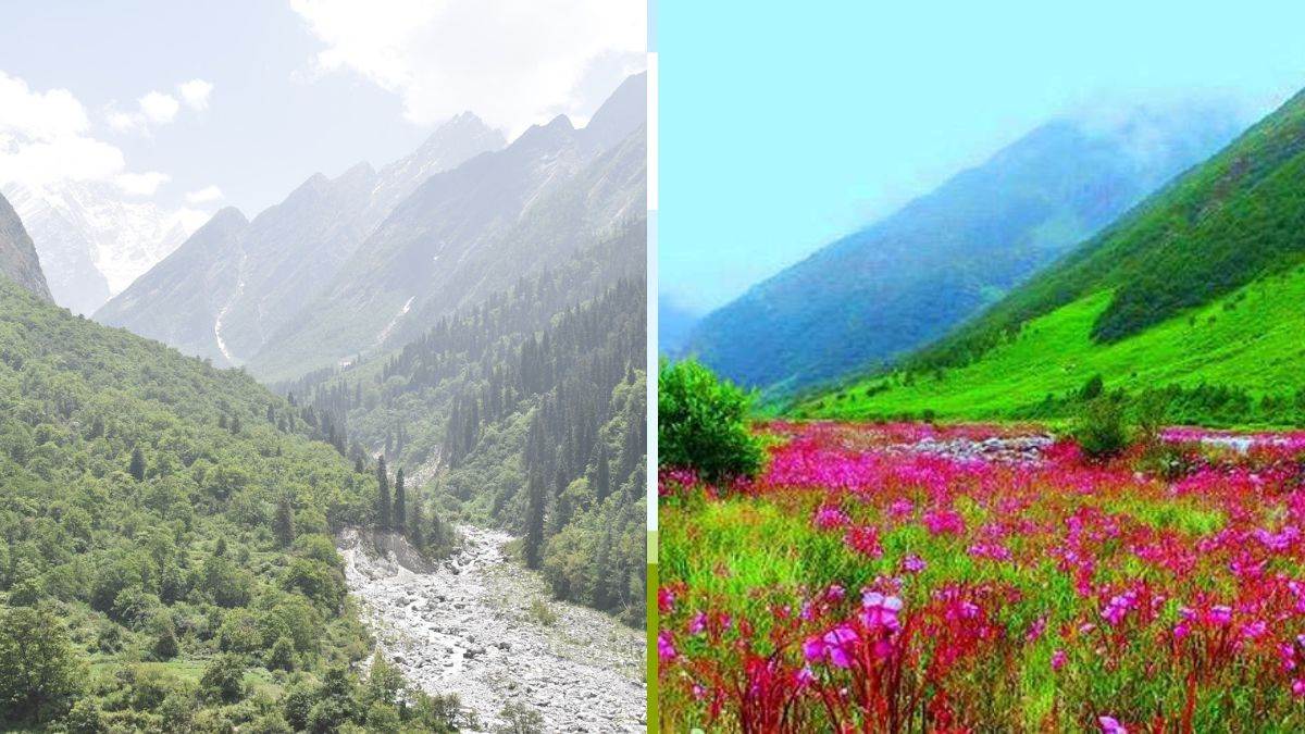 उत्तराखंड : फूलों की घाटी और हेमकुंड साहिब में बनने जा रही इतने किलोमीटर लंबी सड़क