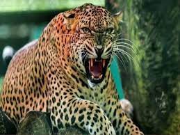 उत्तराखंड : श्रीनगर सहित एक दर्जन गांवों में लगा नाइट कर्फ्यू, खिर्सू में बंद रहेंगे स्कूल