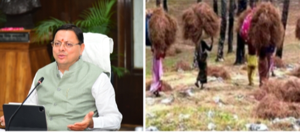 सीएम धामी ने की बड़ी घोषणा पिरुल को एकत्र करने वाली महिलाएं और स्वयं सहायता समूह बन सकते लखपति