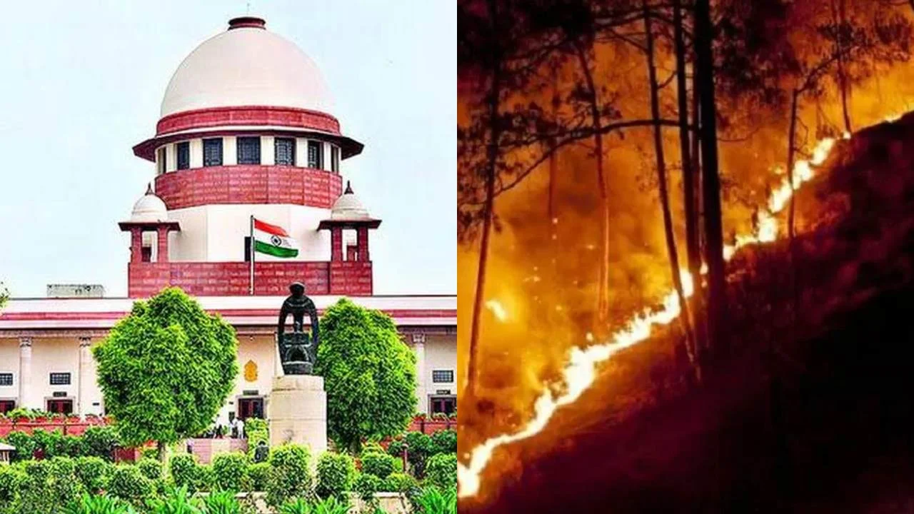 वनाग्नि पर सुप्रीम कोर्ट का सवाल, केंद्र ने उत्तराखंड को फंडिंग क्यों नहीं दी? वनकर्मियों को चुनाव ड्यूटी में क्यों लगाया?