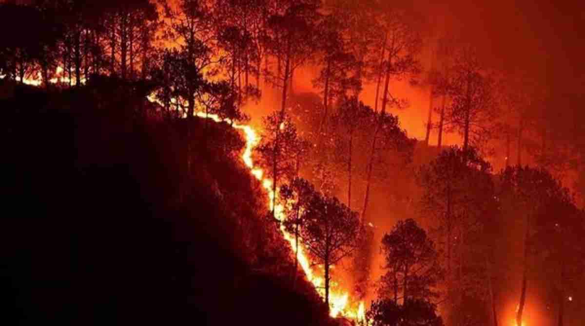 Uttarakhand Forest Fire: उत्तराखंड के जंगलो में चारों तरह धधकती आग, 86 हेक्टेयर जल गए जंगल