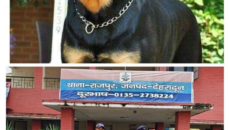 राजपुर में बुजुर्ग महिला पर खतरनाक नस्ल के कुत्तों का हमला, मालिक हिरासत में — बिना लाइसेंस कुत्ते पालने वालों पर अब सख्त कार्रवाई