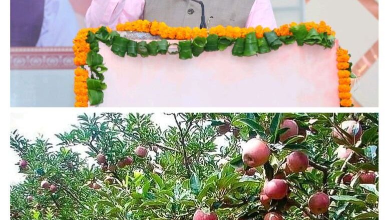 राज्य के सेब उत्पादक किसानों को सेब की बेहतर पैकेजिंग के लिये कार्टन का वितरण हुआ प्रारम्भ