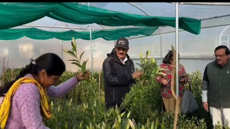 आत्मनिर्भर उत्तराखण्ड का सपना हो रहा साकार,पौड़ी की मातृशक्ति ने लिलियम की खुशबू से गढ़ी नई पहचान- सीएम धामी