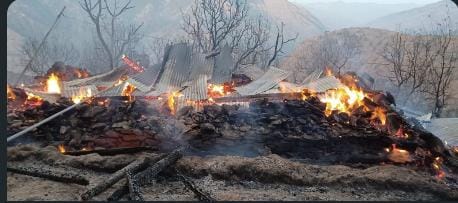 मोरी क्षेत्र में भीषण आग: तीन मंजिला मकान जलकर राख, पालतू पशुओं की दर्दनाक मौत