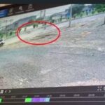 बारात की खुशियां बनी हादसा: नशे में स्टंट कर रही कार ने बच्चे को मारी टक्कर, ग्रामीणों ने किया हंगामा