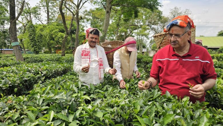 असम के चाय बागानों में महिला श्रमिकों के बीच पहुँचे कृषि मंत्री गणेश जोशी, स्वयं भी तोड़ी चाय की पत्तियां