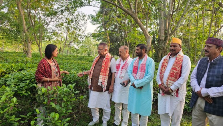 असम के चाय बागानों में पहुंचे कृषि मंत्री गणेश जोशी, उत्तराखंड में चाय उत्पादन बढ़ाने के लिए परखी तकनीक
