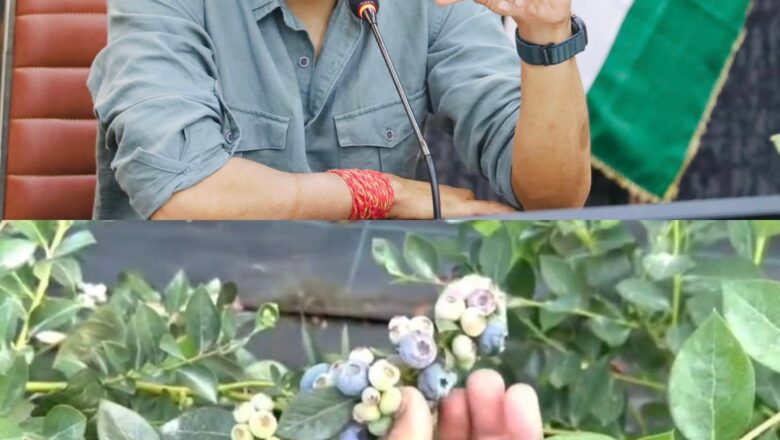 देहरादून जिला प्रशासन की पहल,दून बासमती के बाद अब चमकेगी ब्लूबेरी देहरादून में पायलट प्रोजेक्ट के तहत 10 किसानों से शुरुआत