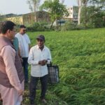 बाजपुर में भीषण ओलावृष्टि से फसलों को नुकसान, किसानों के बीच पहुंचे सीएम धामी